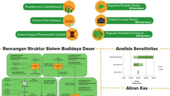 Pra Rancangan Sistem Budidaya Kailan